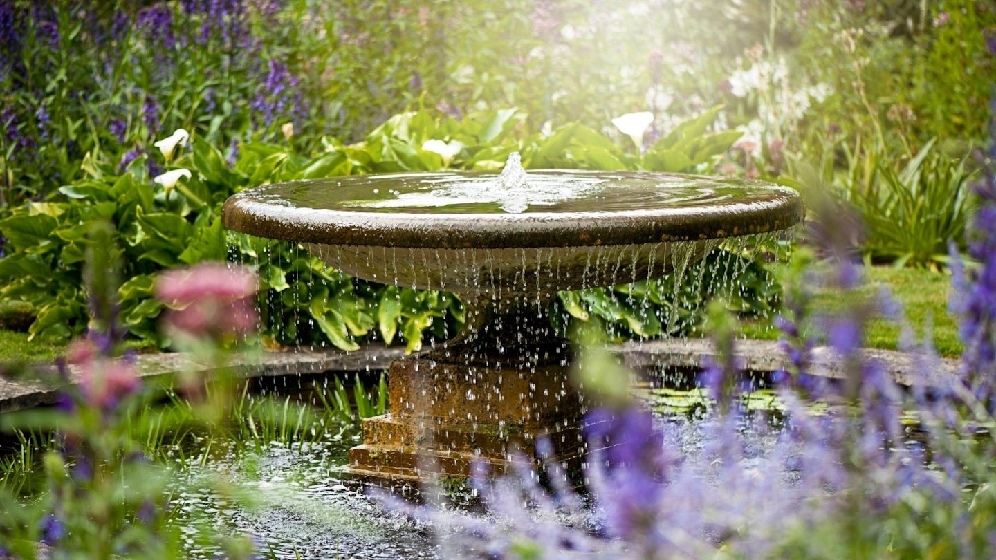 Water Feature Garden